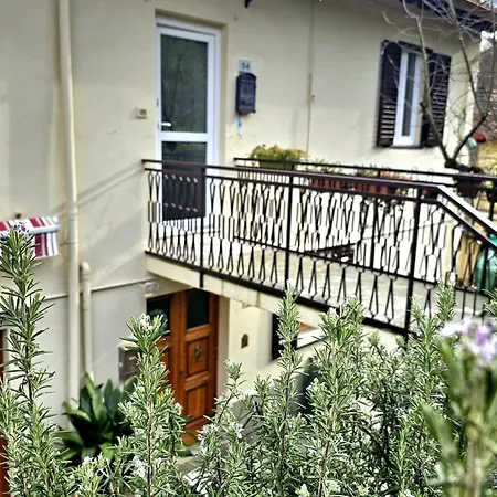 Riccio *